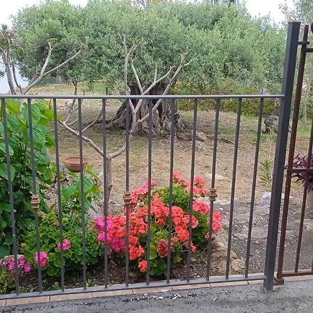 Semesterbostad Casa Da Daniela *